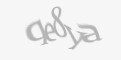 Защитный код